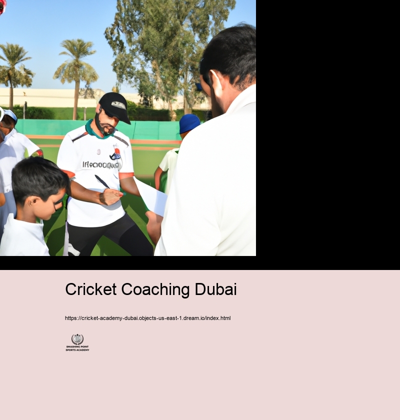 Mentoring Group and Knowledge at Cricket Academies in Dubai